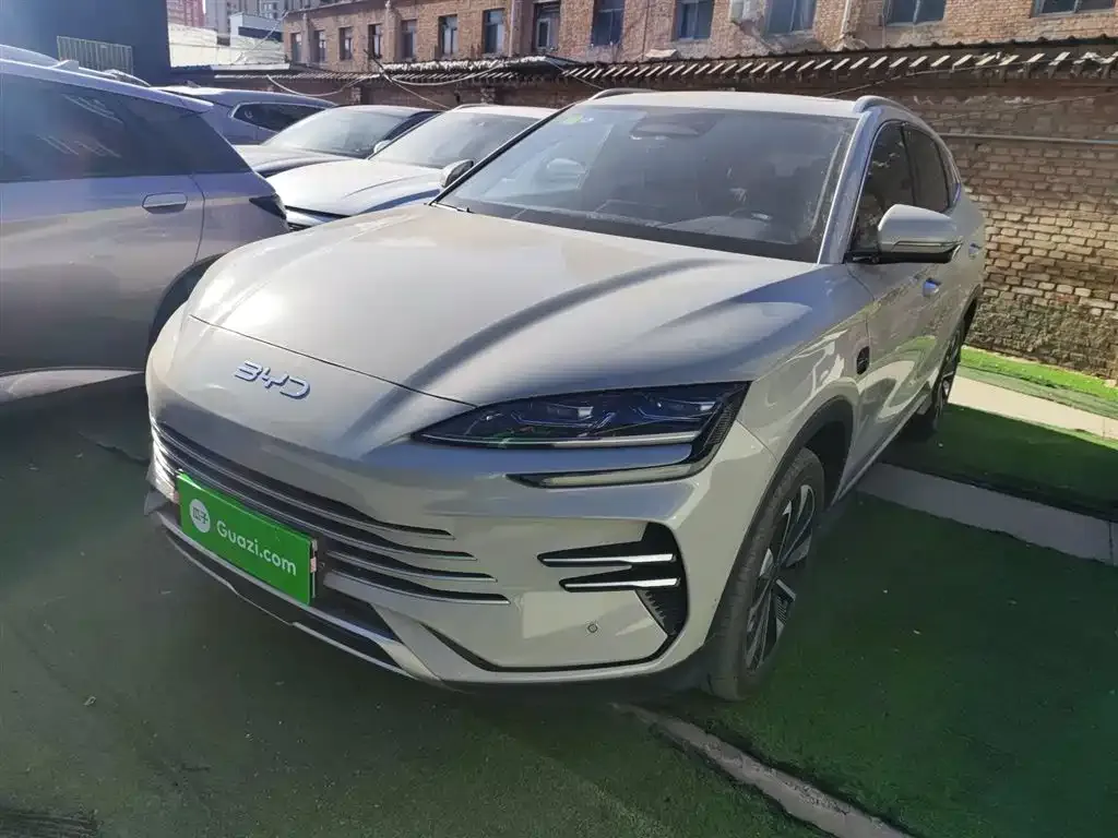 BYD PLUS New Energy — фото 2