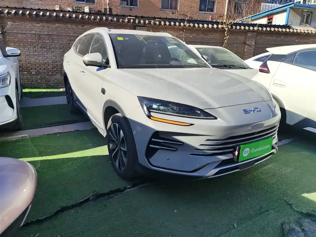 BYD PLUS New Energy — фото 4