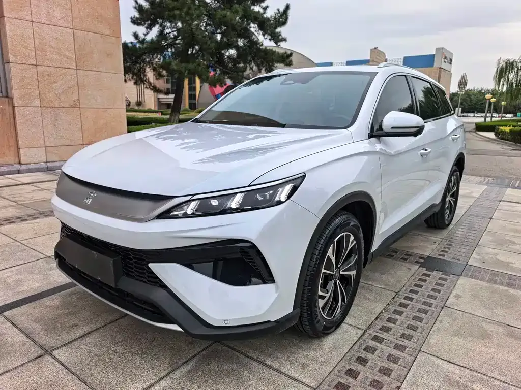 BYD Pro New Energy — фото 1