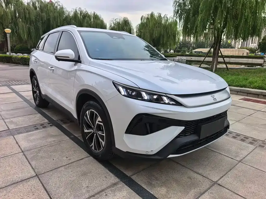 BYD Pro New Energy — фото 3