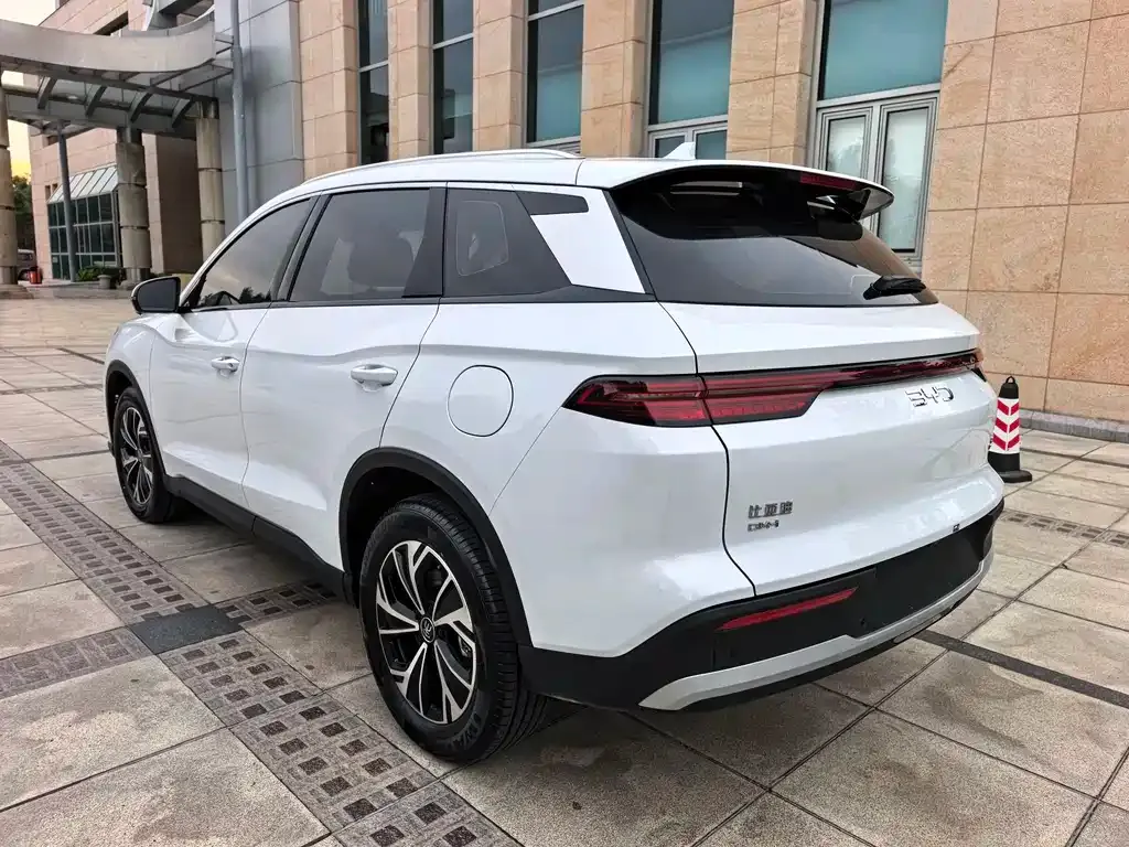 BYD Pro New Energy — фото 4