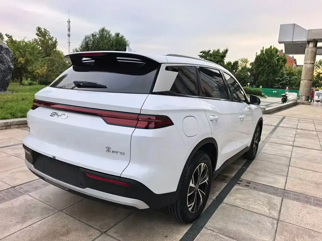 BYD Pro New Energy — фото 6