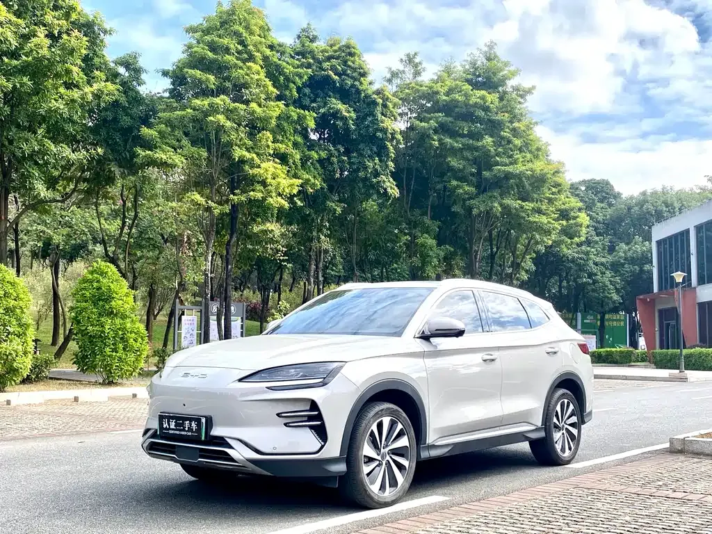 BYD PLUS New Energy — фото 1