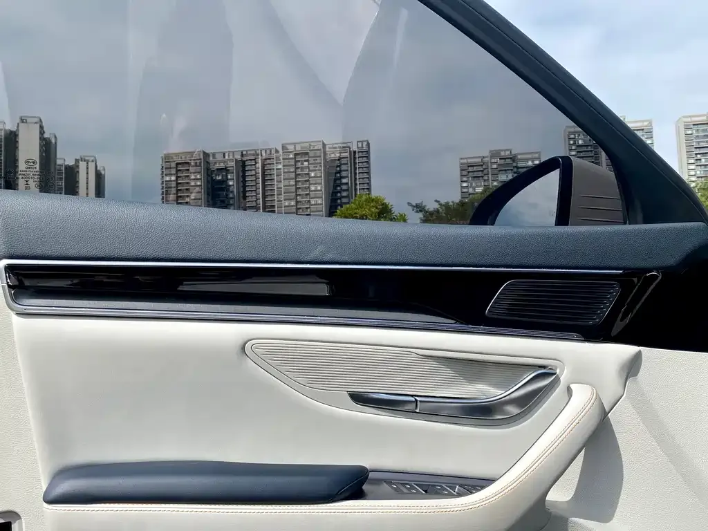 BYD PLUS New Energy — фото 10