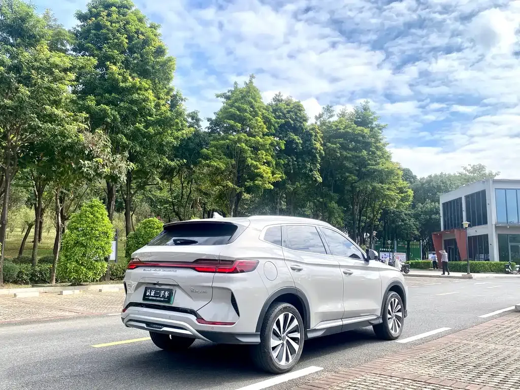 BYD PLUS New Energy — фото 5