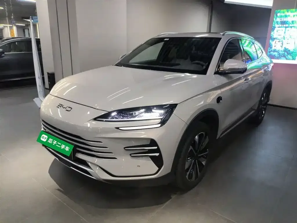 BYD PLUS New Energy — фото 2