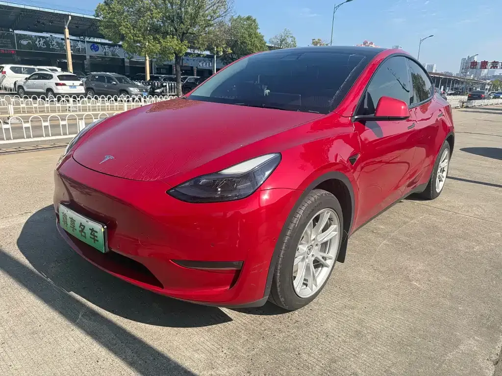Tesla Model Y — фото 1