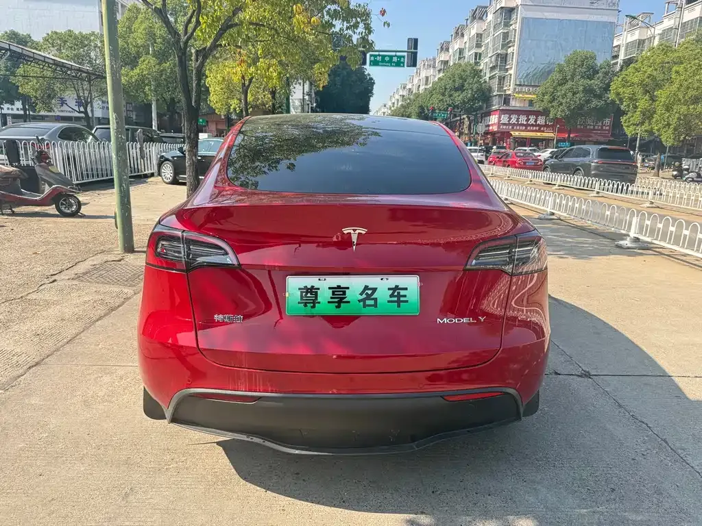 Tesla Model Y — фото 10
