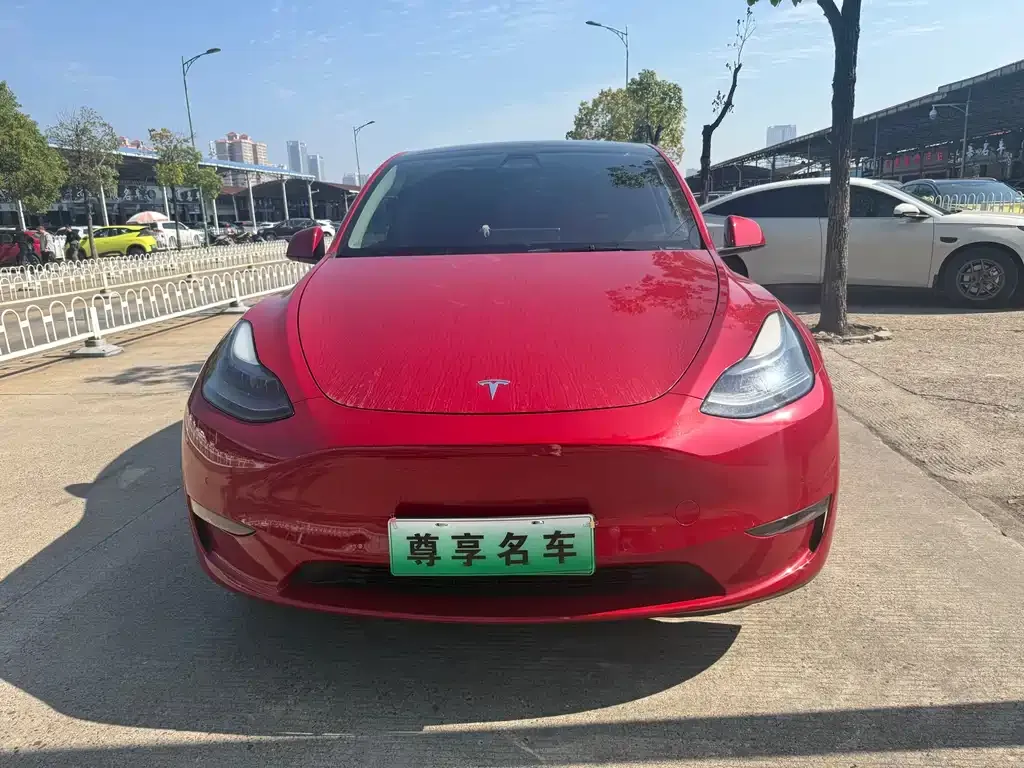 Tesla Model Y — фото 2