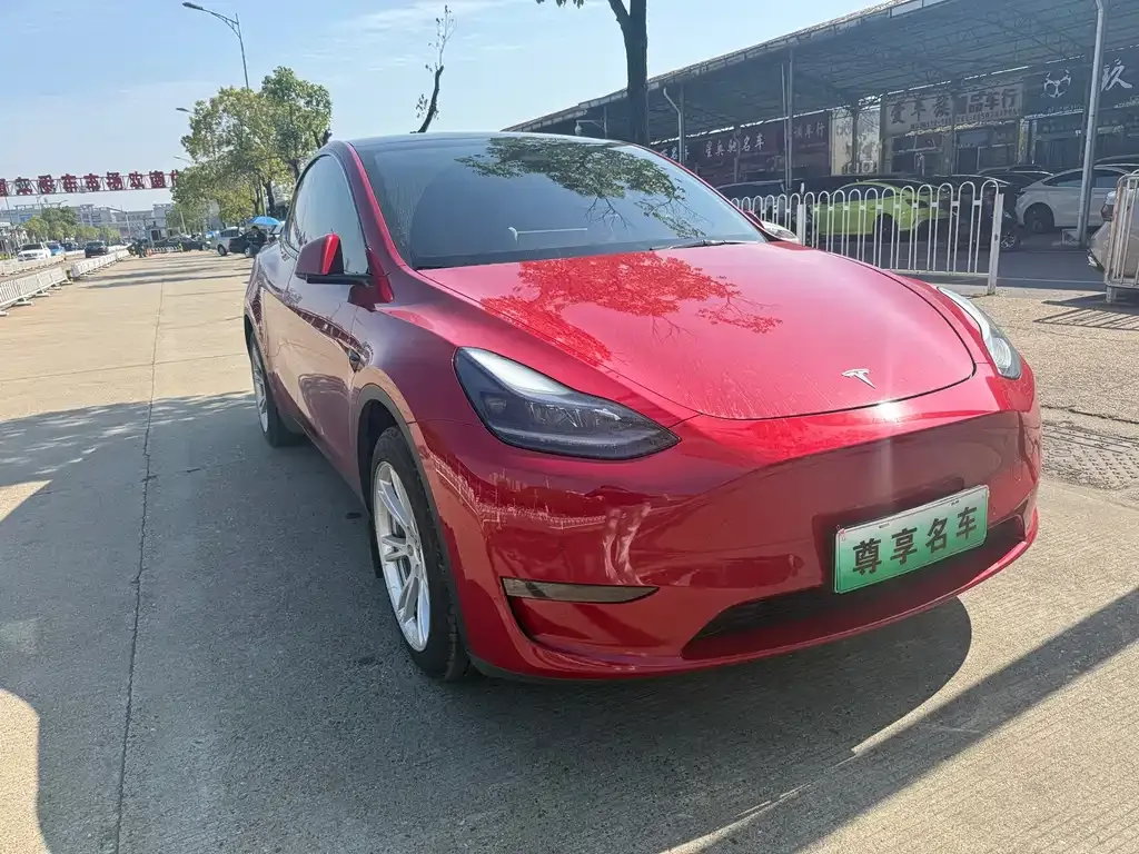 Tesla Model Y — фото 3