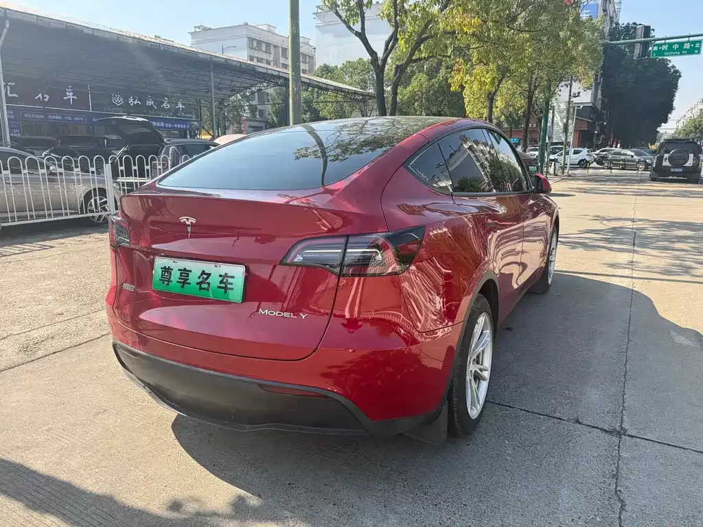 Tesla Model Y — фото 9
