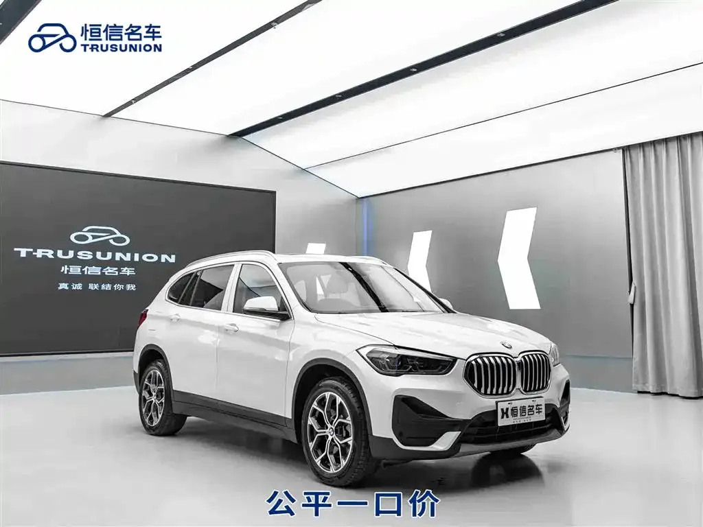 BMW X1 — фото 1
