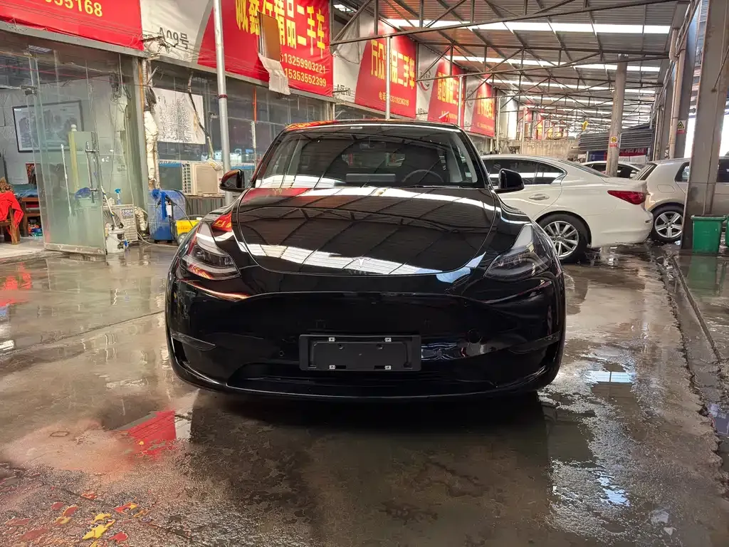 Tesla Model Y — фото 2
