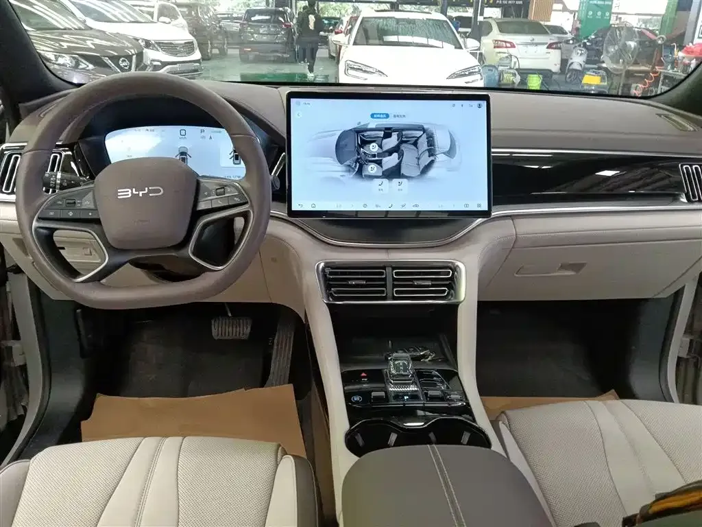 BYD PLUS New Energy — фото 10