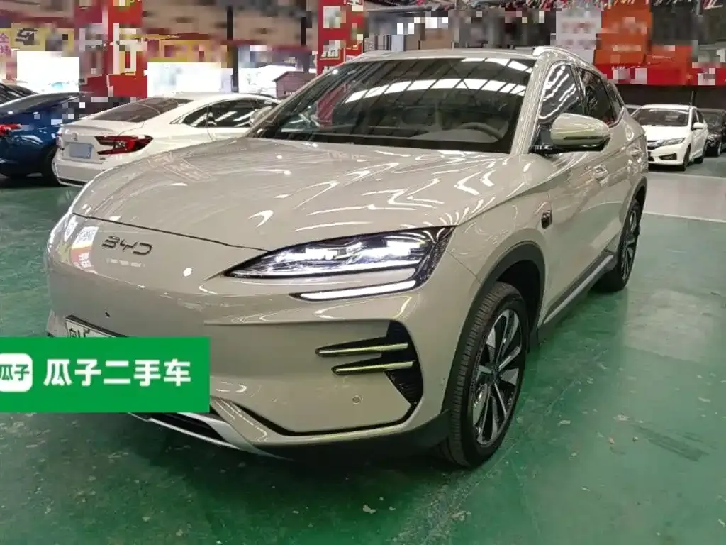 BYD PLUS New Energy — фото 2