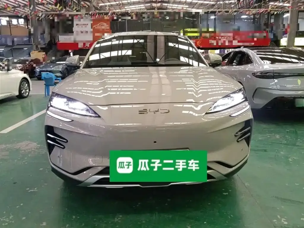 BYD PLUS New Energy — фото 3