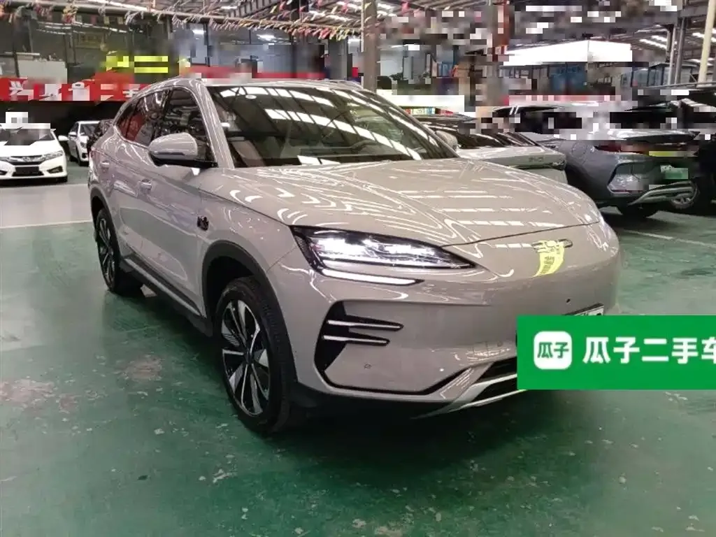 BYD PLUS New Energy — фото 4