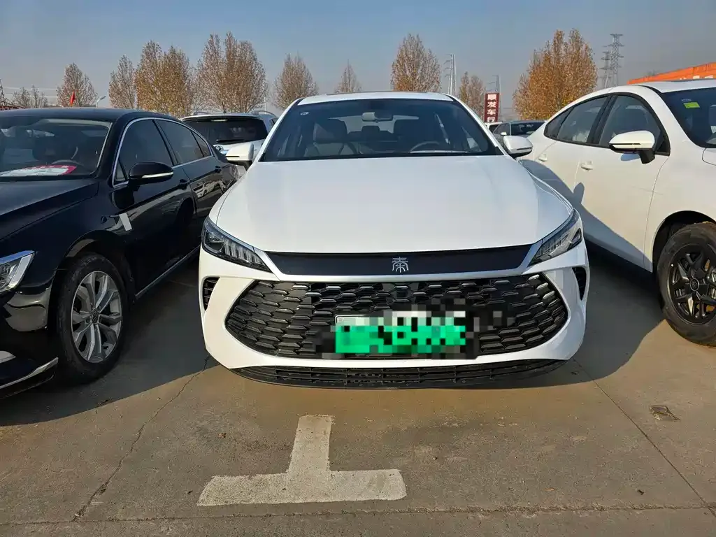 BYD Qin PLUS — фото 2