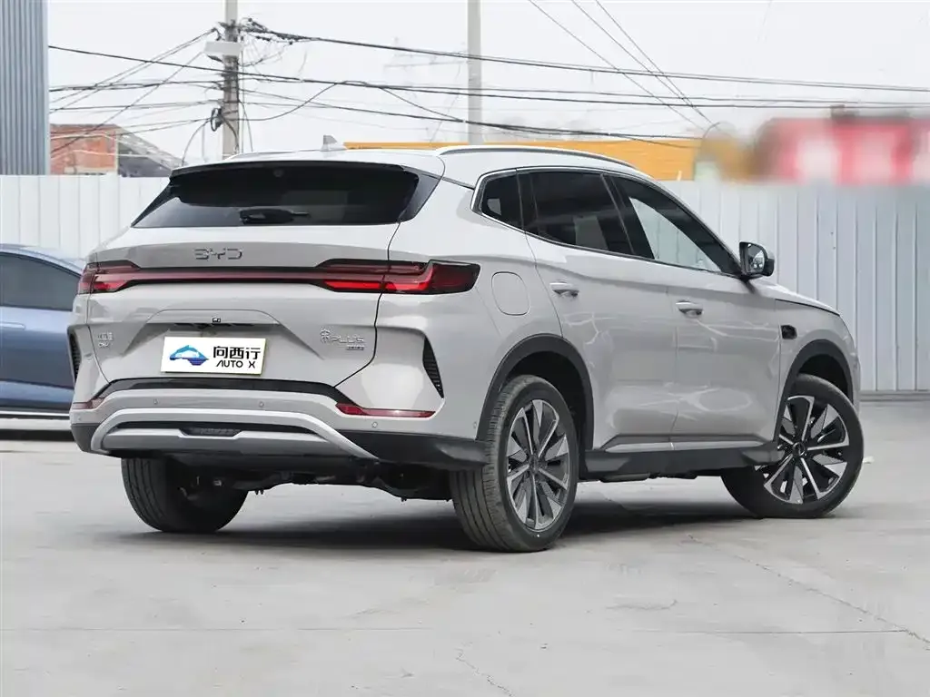 BYD PLUS New Energy — фото 4