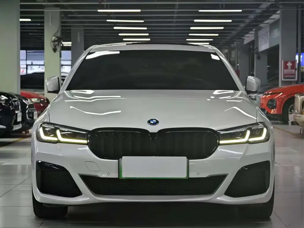 BMW 5 Series New Energy — фото 3