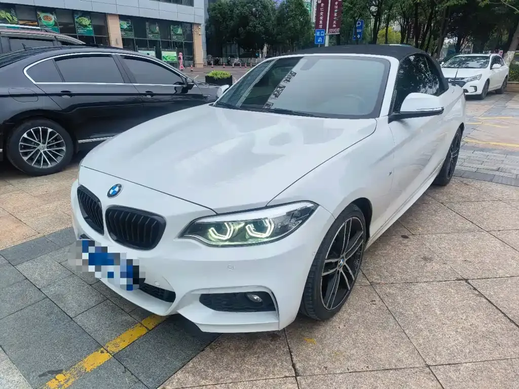 BMW 2 Series (Import) — фото 1