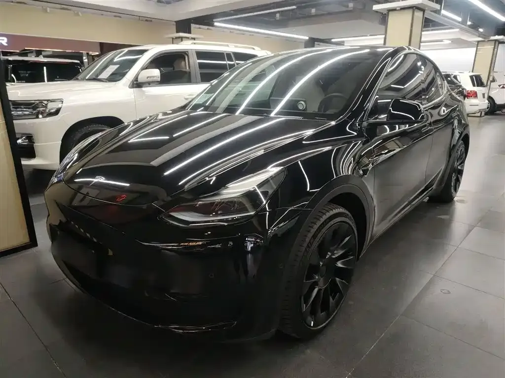 Tesla Model Y — фото 2