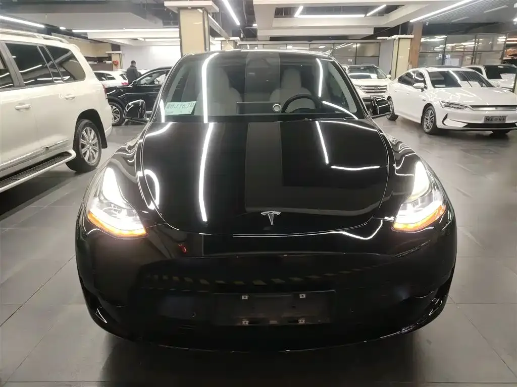 Tesla Model Y — фото 3