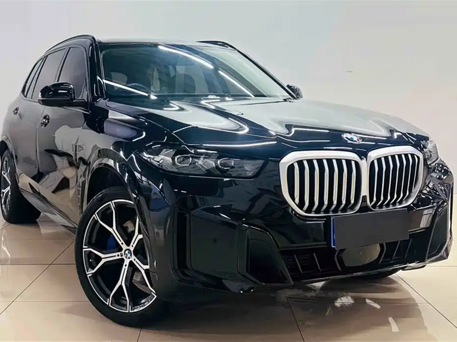 BMW X5 — фото 8