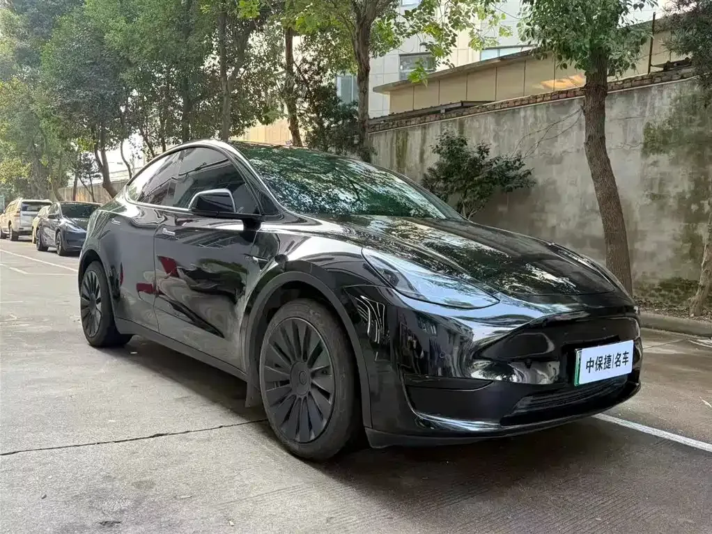 Tesla Model Y — фото 2