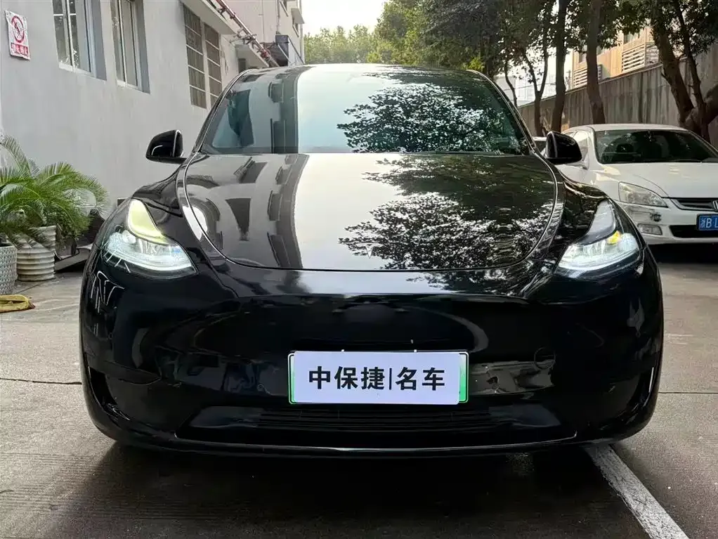 Tesla Model Y — фото 3