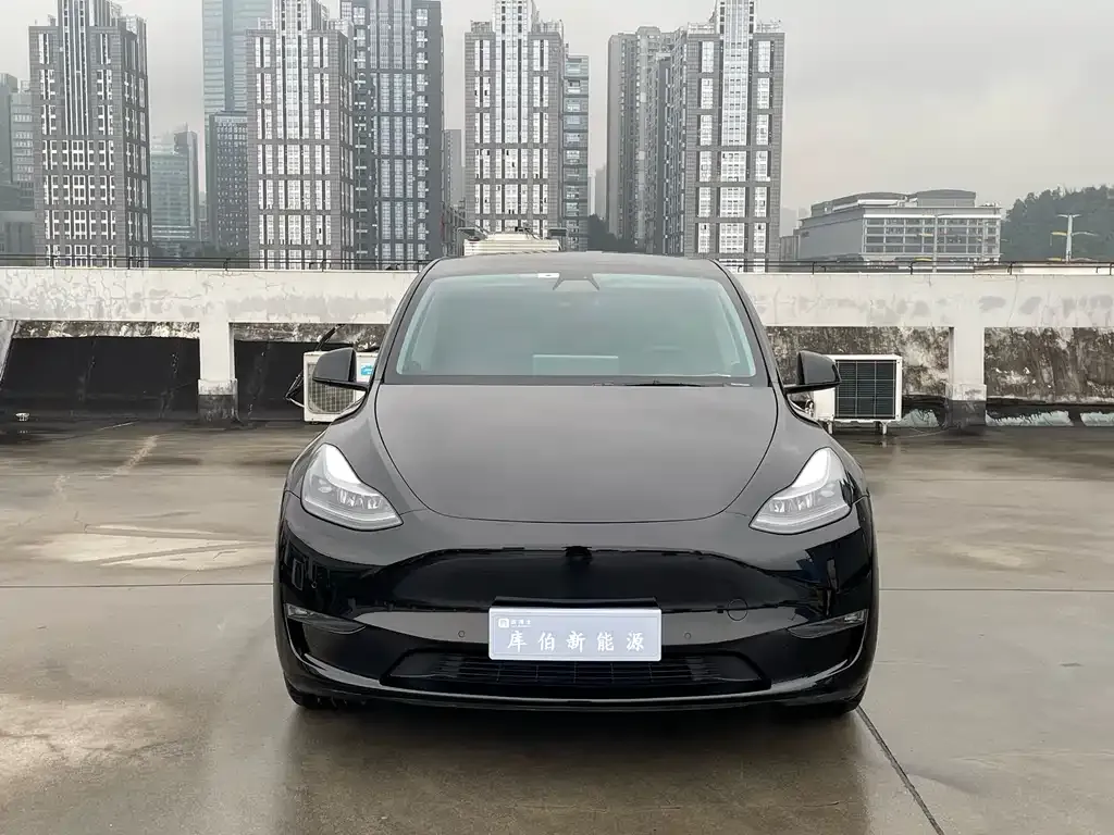 Tesla Model Y — фото 2