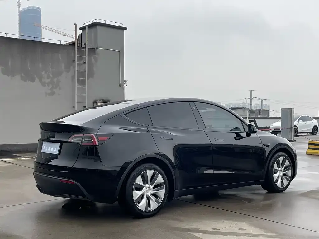 Tesla Model Y — фото 8