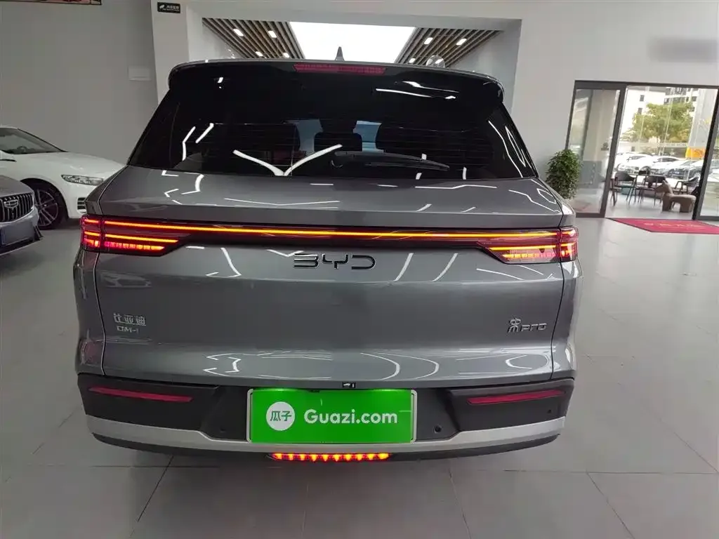 BYD Pro New Energy — фото 6