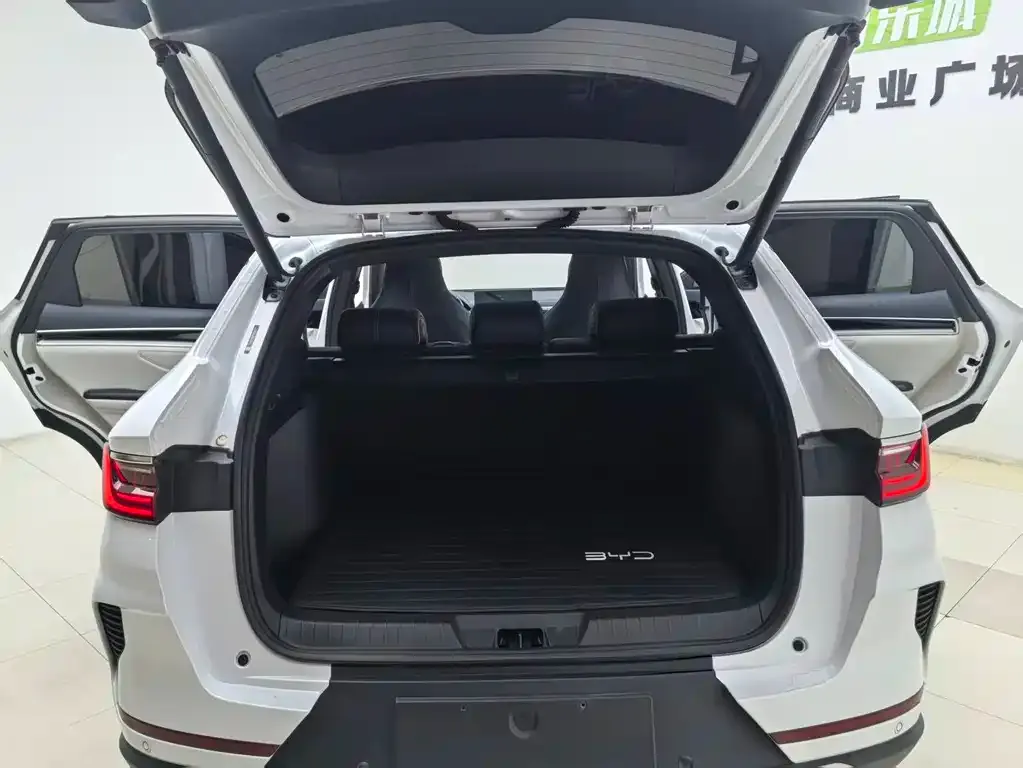 BYD PLUS New Energy — фото 10