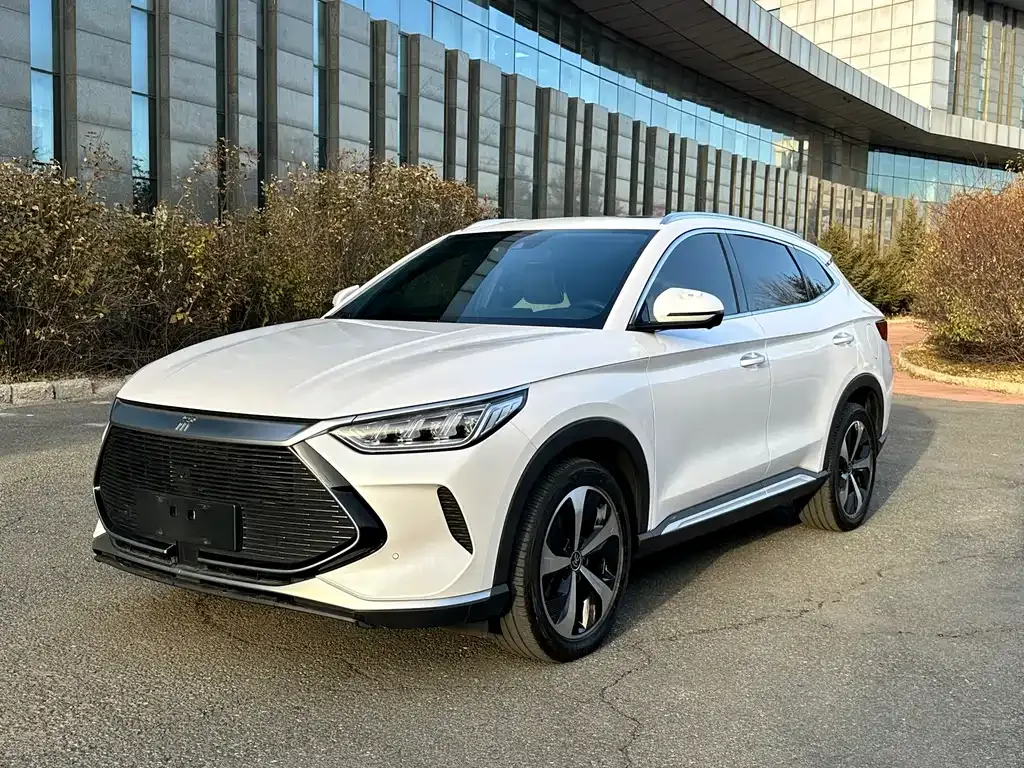 BYD PLUS New Energy — фото 1