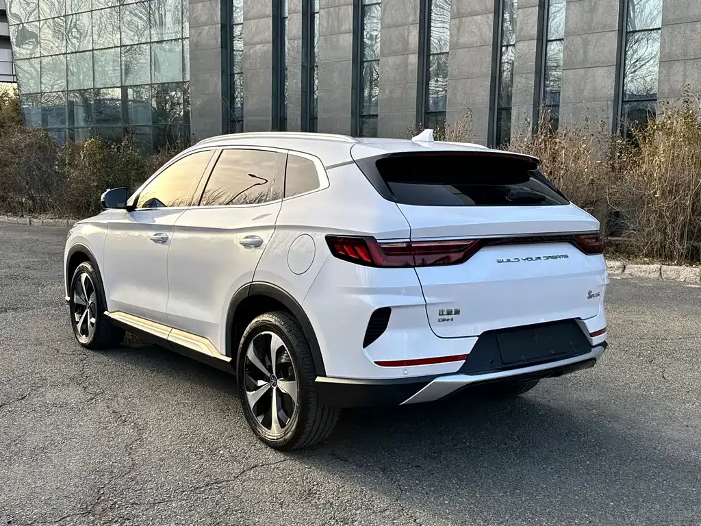 BYD PLUS New Energy — фото 4