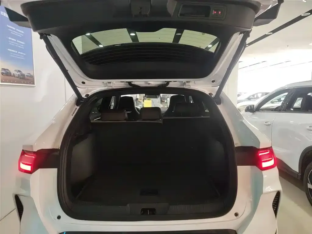 BYD PLUS New Energy — фото 10