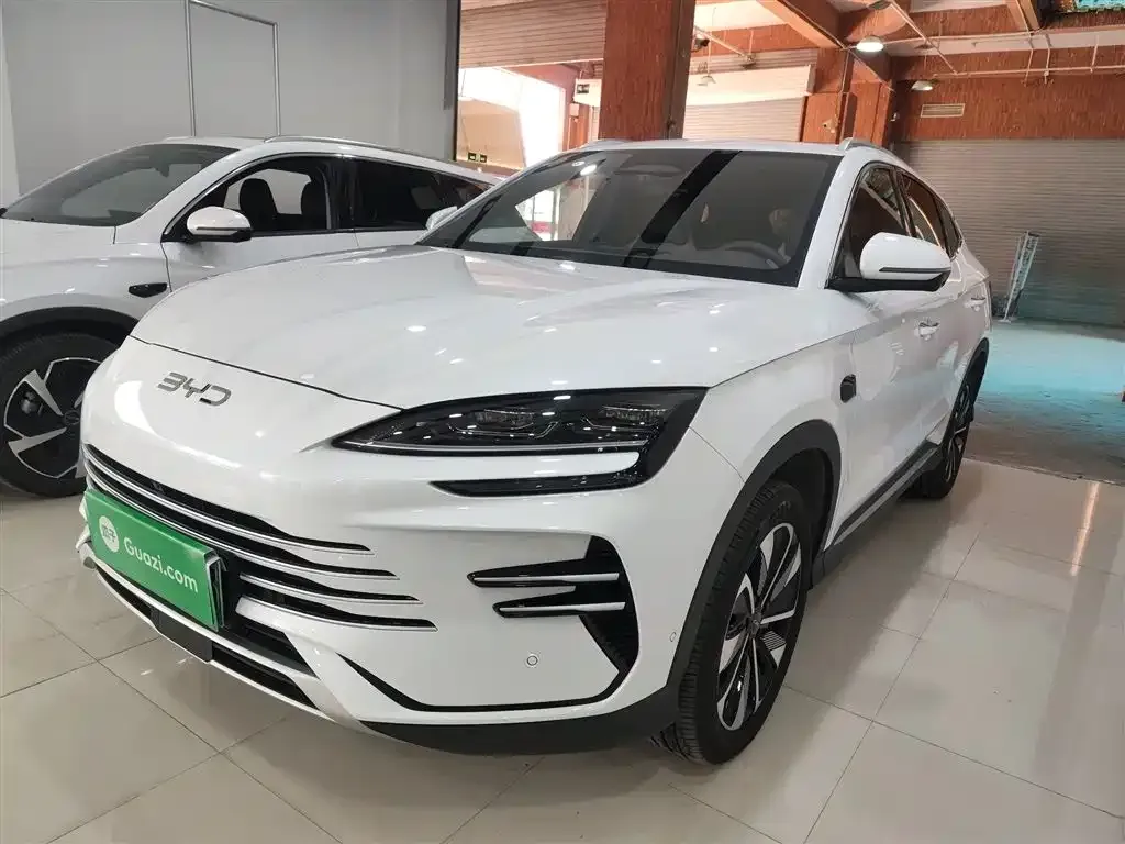 BYD PLUS New Energy — фото 2