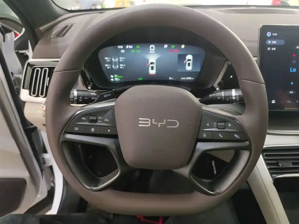 BYD PLUS New Energy — фото 3