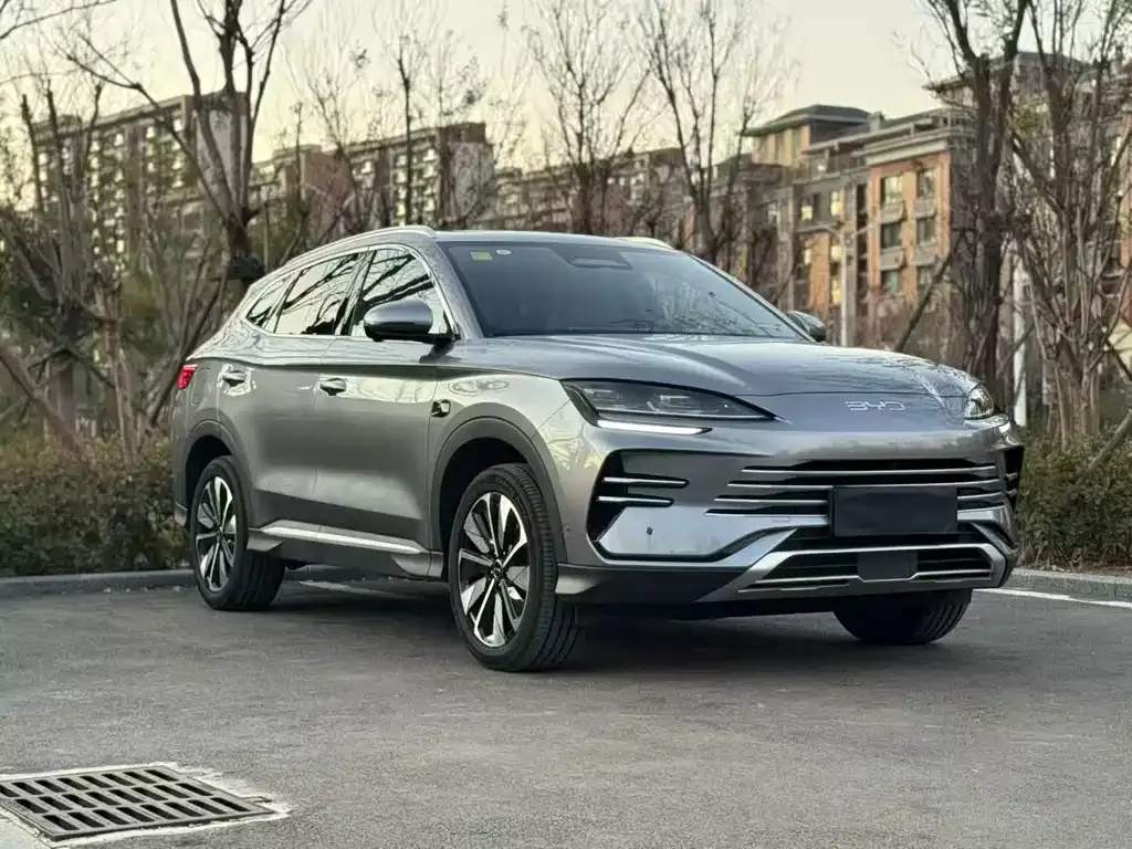 BYD PLUS New Energy — фото 1