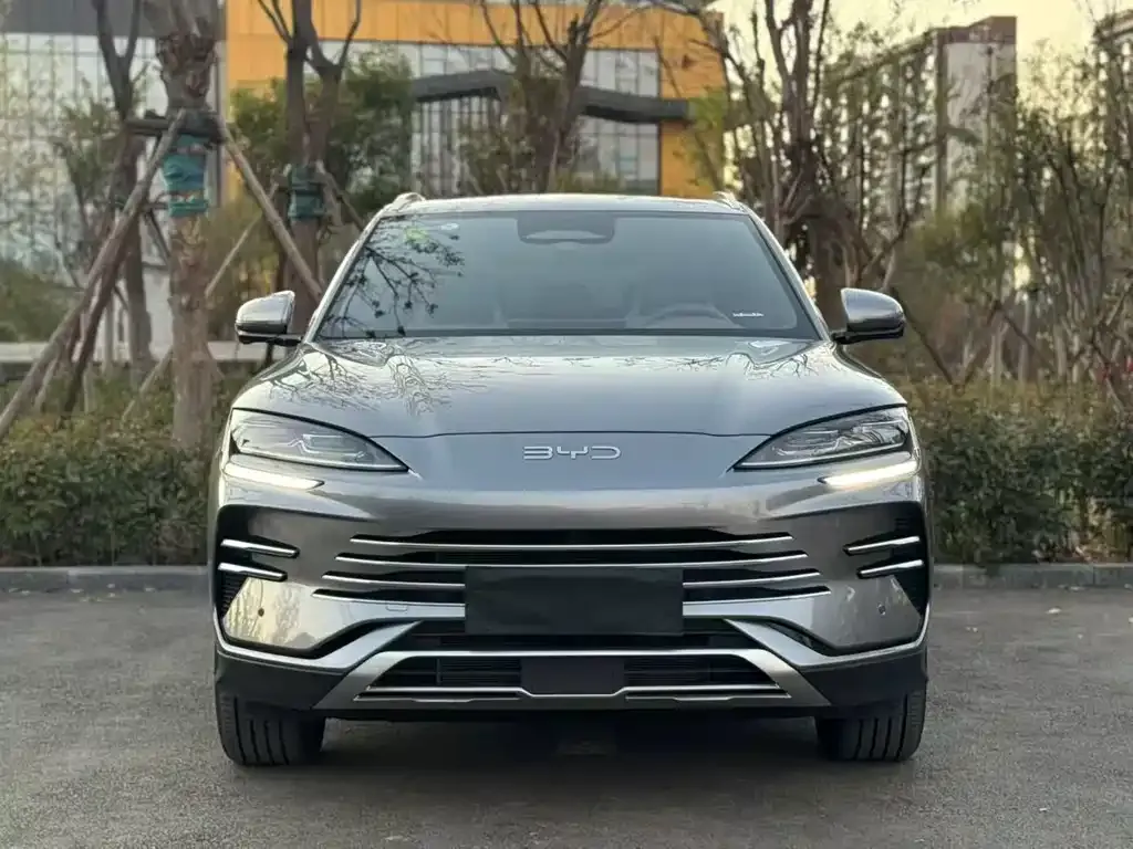BYD PLUS New Energy — фото 2