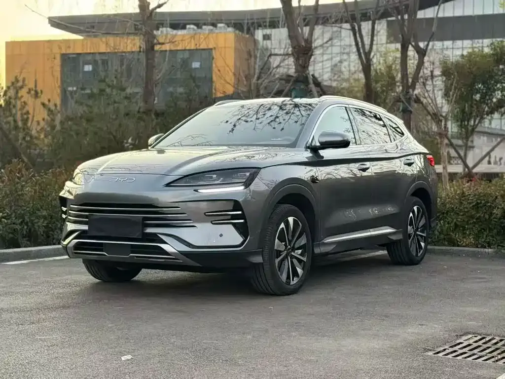 BYD PLUS New Energy — фото 3
