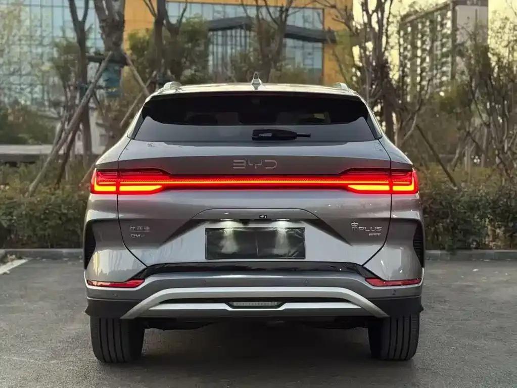 BYD PLUS New Energy — фото 4