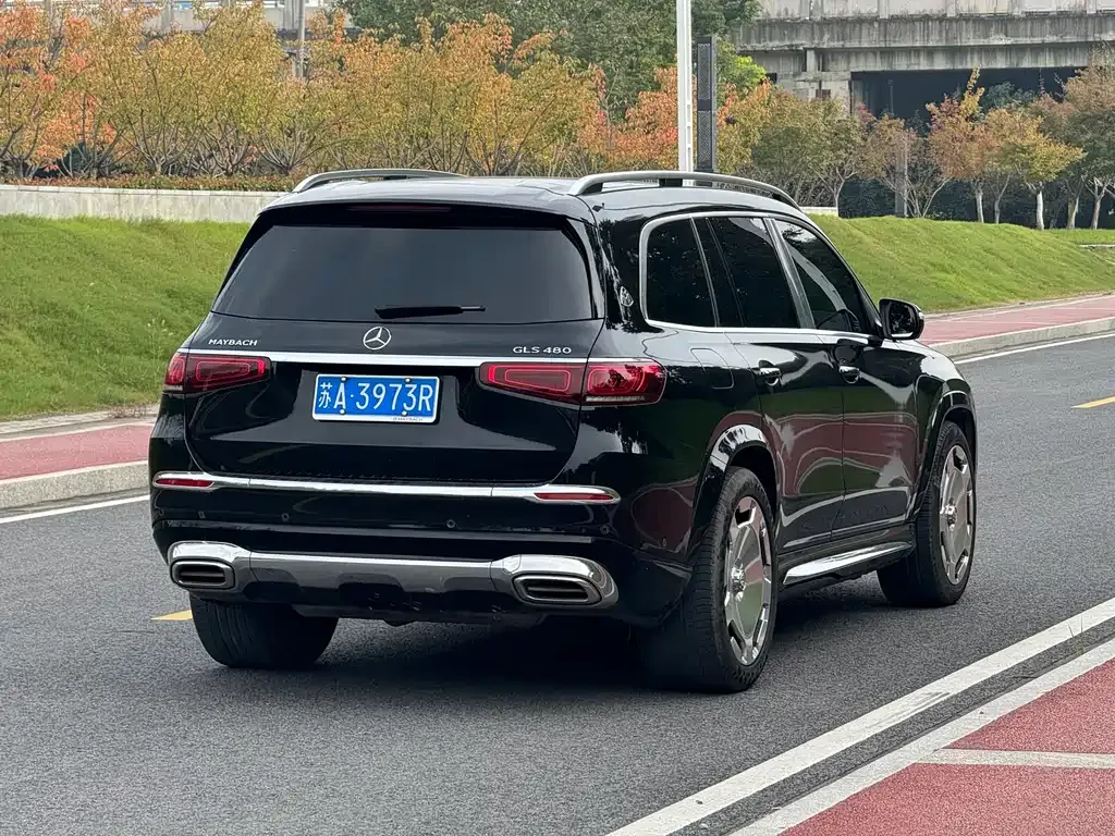 Mercedes-Benz GLS — фото 7