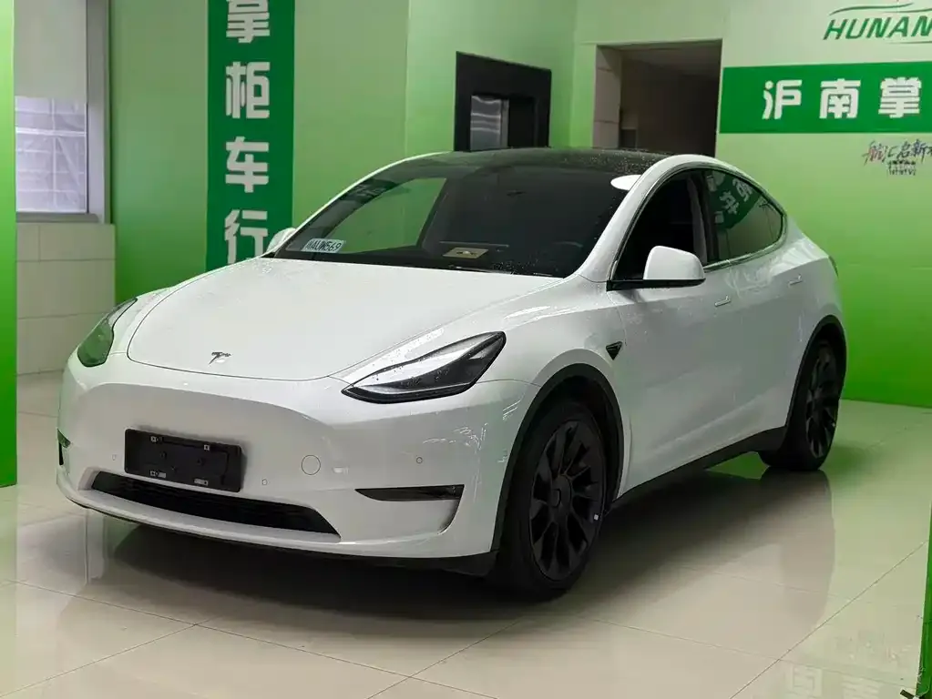 Tesla Model Y — фото 1