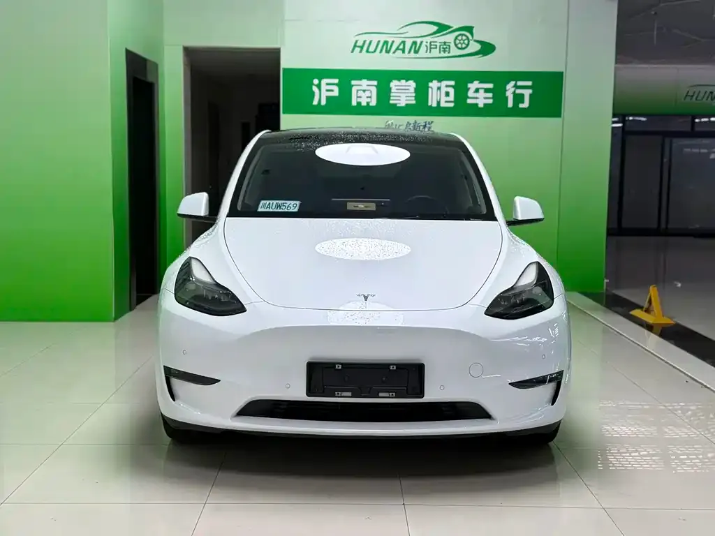 Tesla Model Y — фото 2