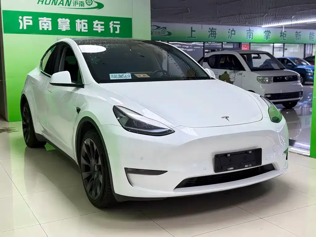 Tesla Model Y — фото 3