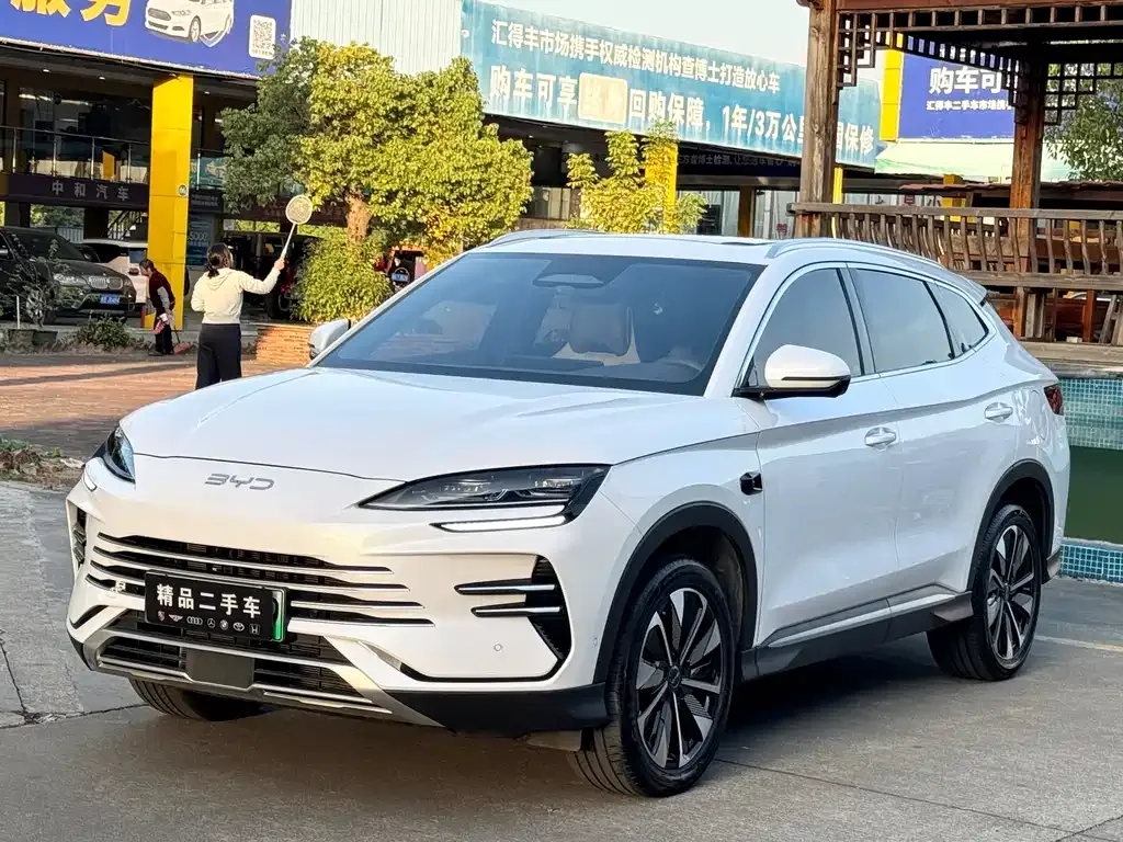 BYD PLUS New Energy — фото 1