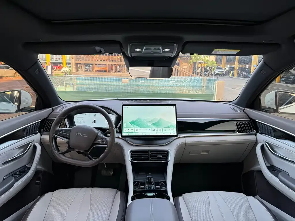 BYD PLUS New Energy — фото 10