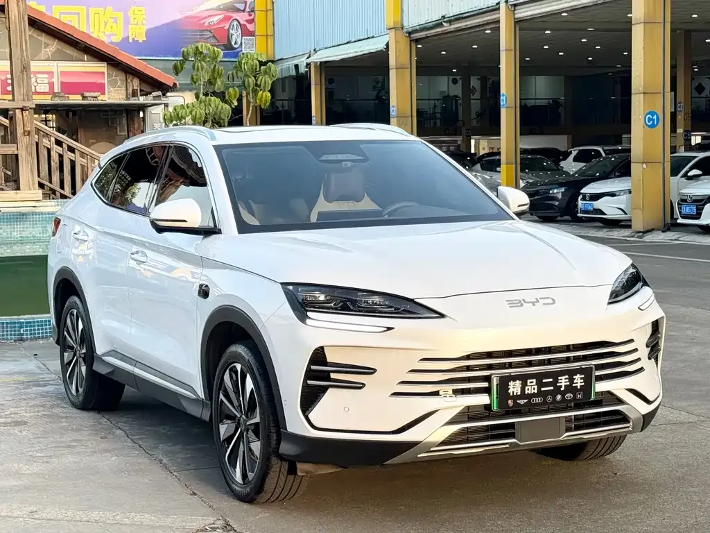 BYD PLUS New Energy — фото 2